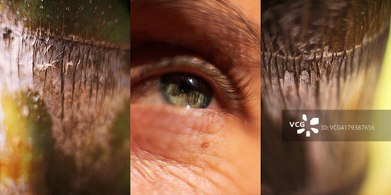 PAA102000047图片素材