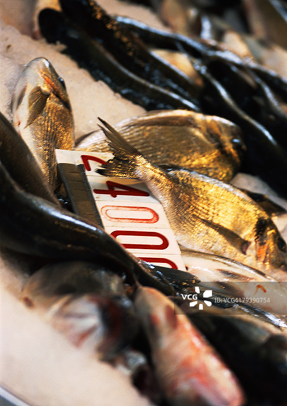 PAA118000015图片素材