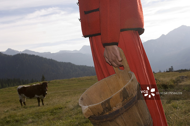 手捧黄油罐，背景是奶牛的女人图片素材