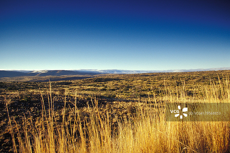 南非博福特韦斯特卡鲁国家公园景色图片素材
