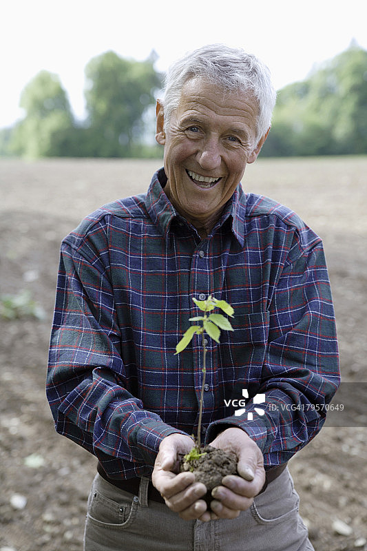 手持山毛榉树苗的男人，特写镜头图片素材