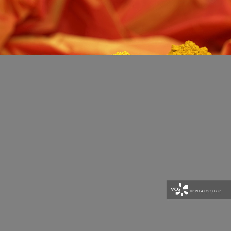 香料、咖喱、姜黄、辣椒图片素材