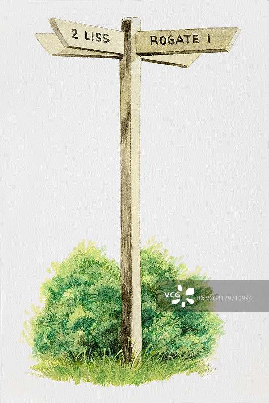 木制路标图片素材