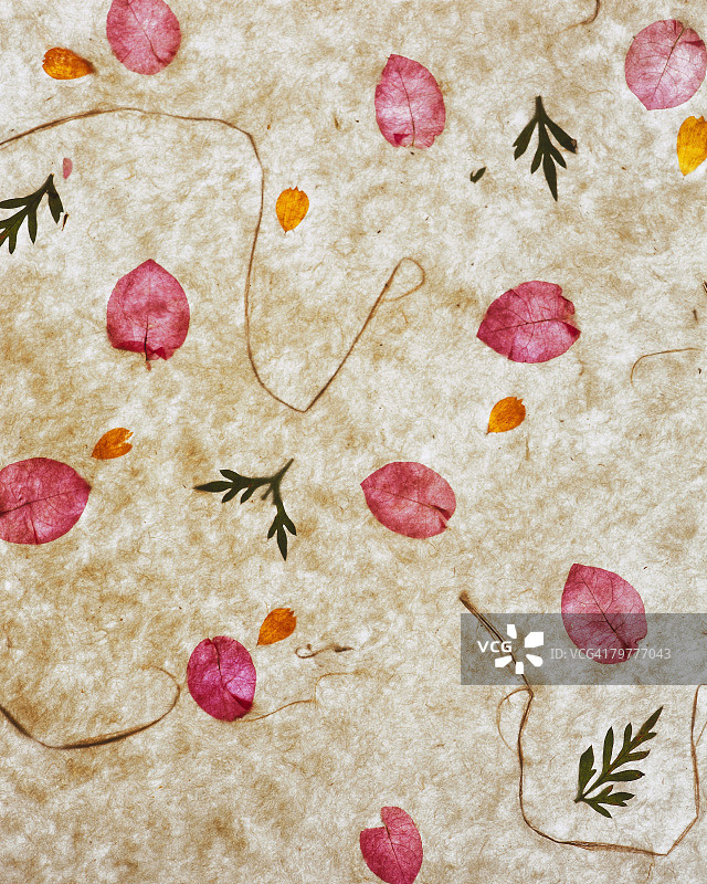 花瓣和树叶的和纸图片素材