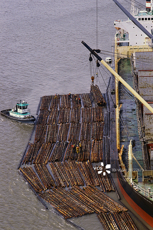 工业船运送木筏图片素材