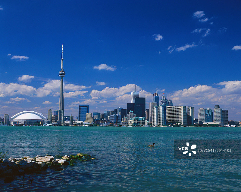 多伦多的天际线图片素材