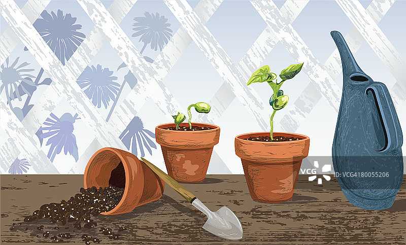 手绘蔬菜移栽至陶罐图片素材