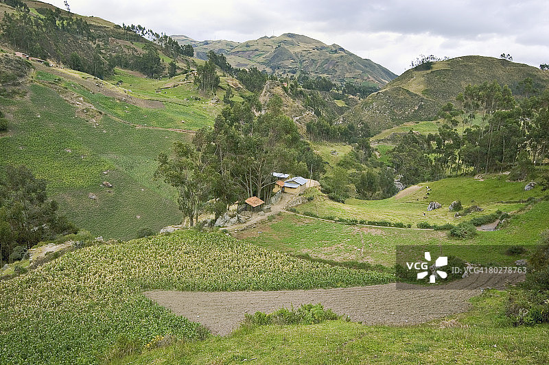 厄瓜多尔卡纳里人印加遗址附近的玉米田和农场图片素材