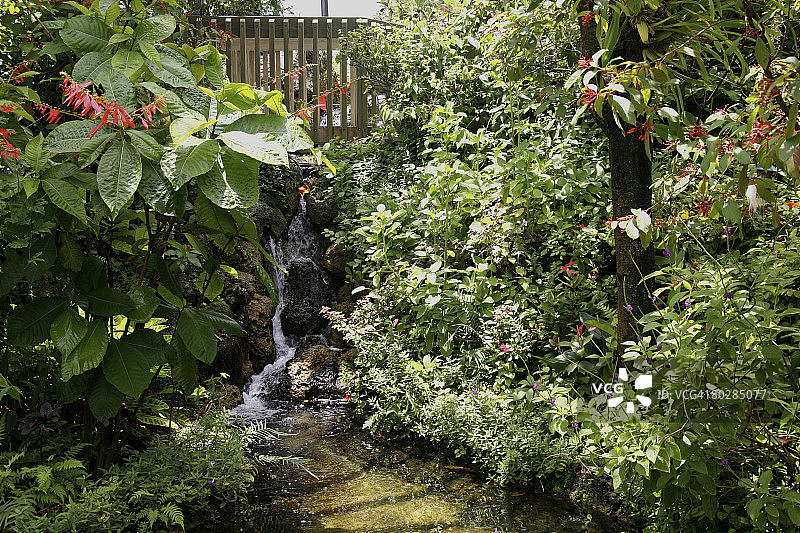 热带花园瀑布图片素材