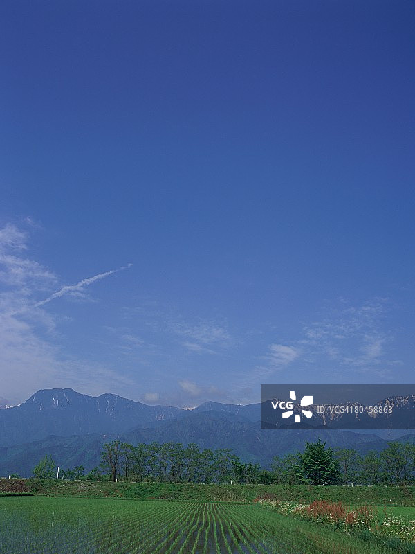 日本长野县池田市的雪山背景稻田图片素材