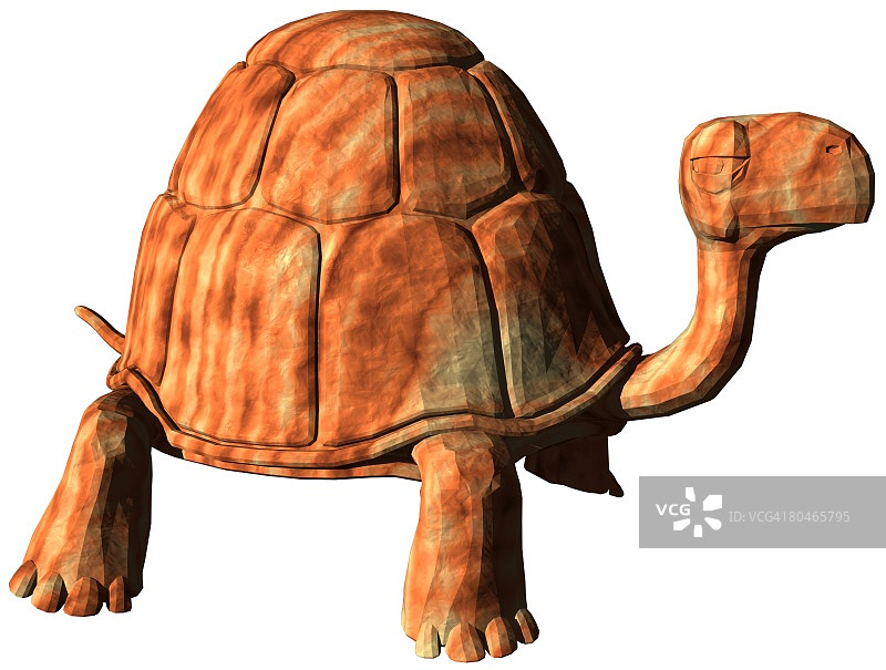 电脑生成的卡通乌龟图片素材