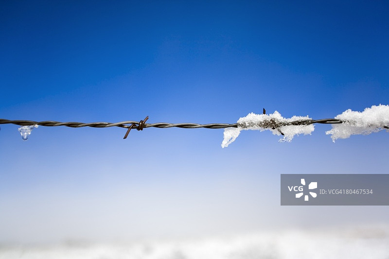带刺铁丝网上融化的雪图片素材