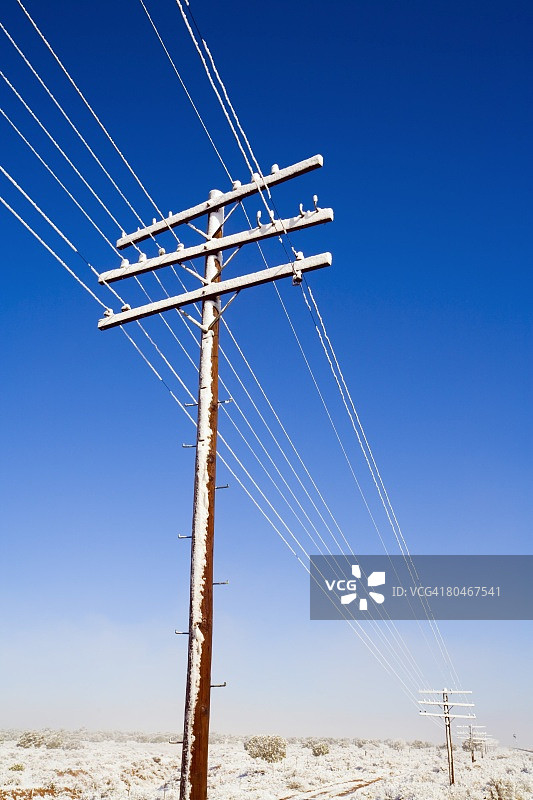 冬日里的电话线图片素材