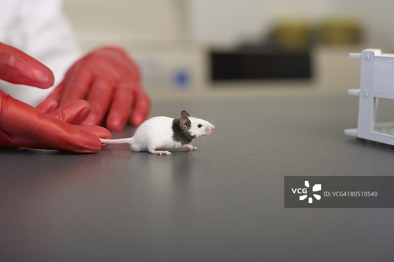 戴手套的手握着鼠标图片素材