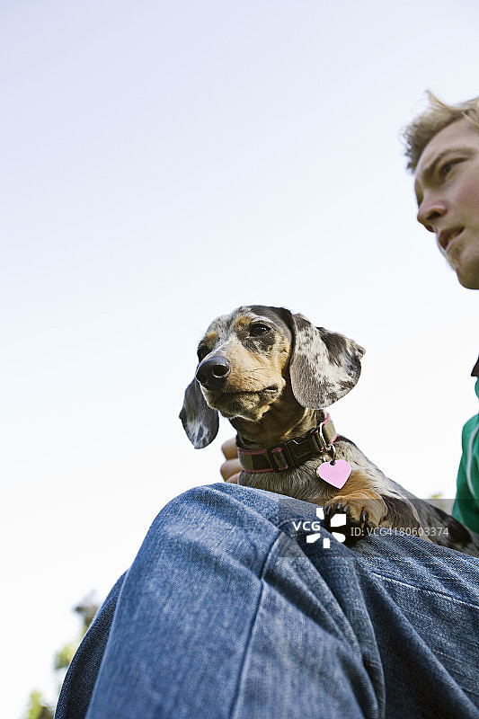 带着迷你腊肠犬的男人图片素材