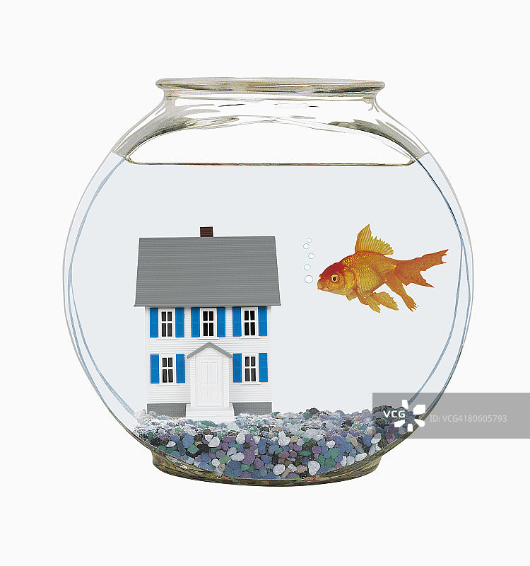 金鱼缸里的微型房屋图片素材