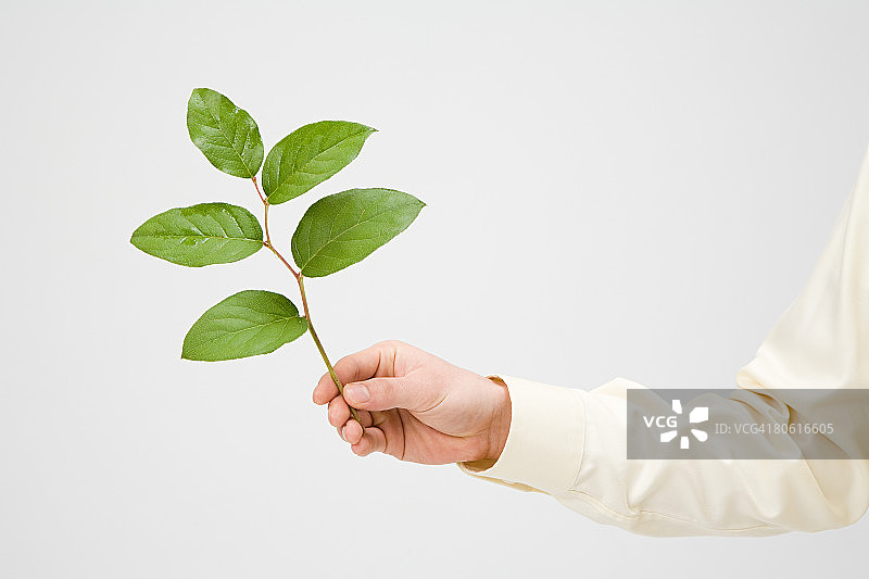 拿着树枝的人图片素材