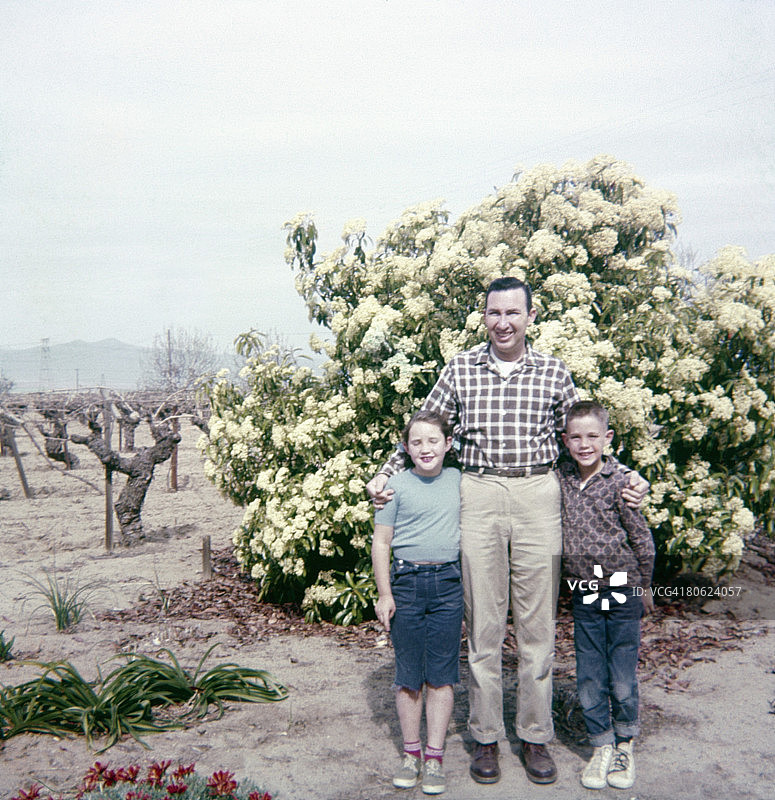 父亲和两个孩子站在灌木丛前图片素材