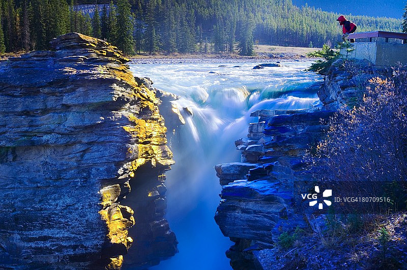 清晨在加拿大艾伯塔省贾斯珀国家公园观看阿萨巴斯卡瀑布图片素材
