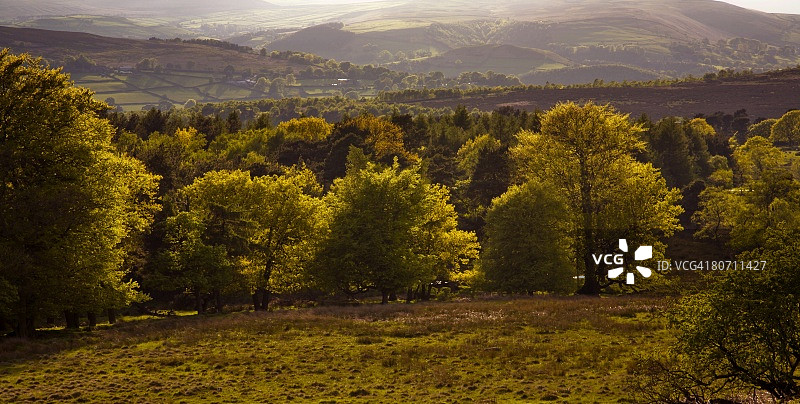 英格兰德比郡的公园绿地图片素材