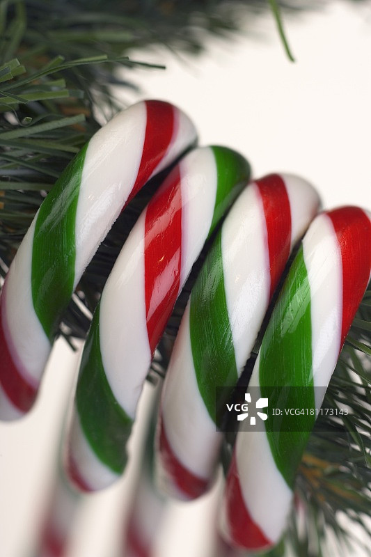 悬挂在树上的糖果棒图片素材