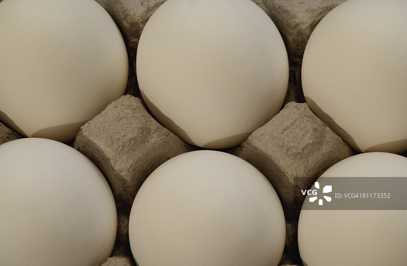 纸盒中的鸡蛋图片素材