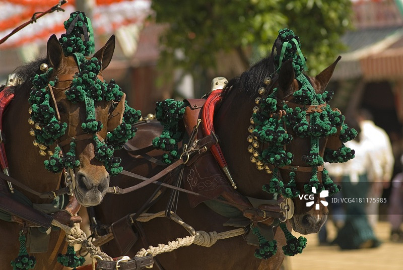 装饰骏马图片素材