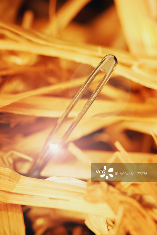 大海捞针图片素材