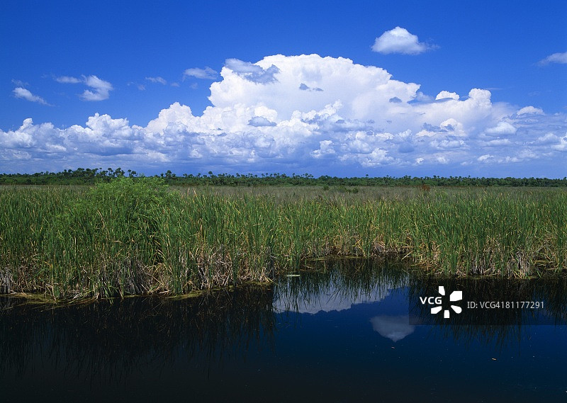 大柏树国家保护区图片素材