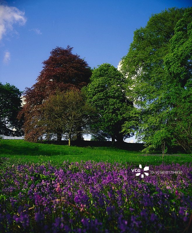 爱尔兰米斯郡图林纳利城堡的野生花园图片素材
