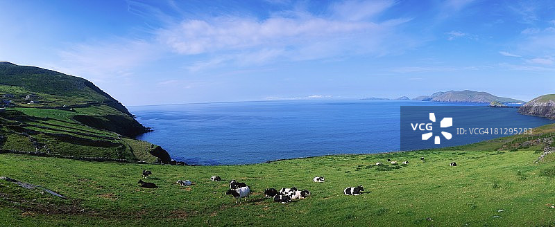 爱尔兰凯里郡丁格尔半岛和布拉斯凯特群岛图片素材