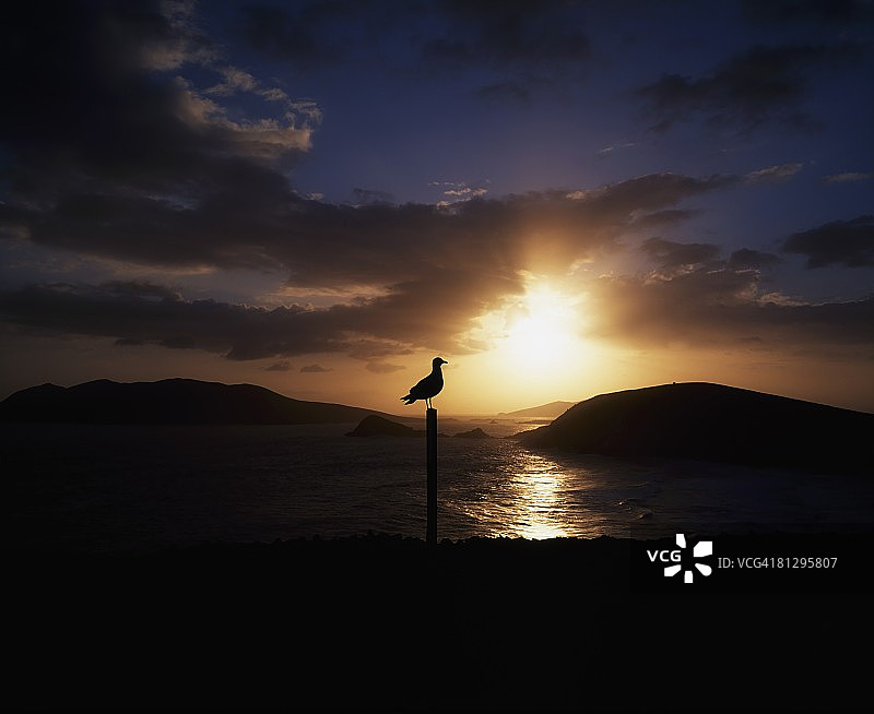 Blasket Islands，Slea Head，Co Kerry，爱尔兰图片素材