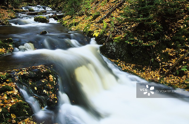 加拿大新不伦瑞克省芬迪国家公园的迪克森溪秋景图片素材