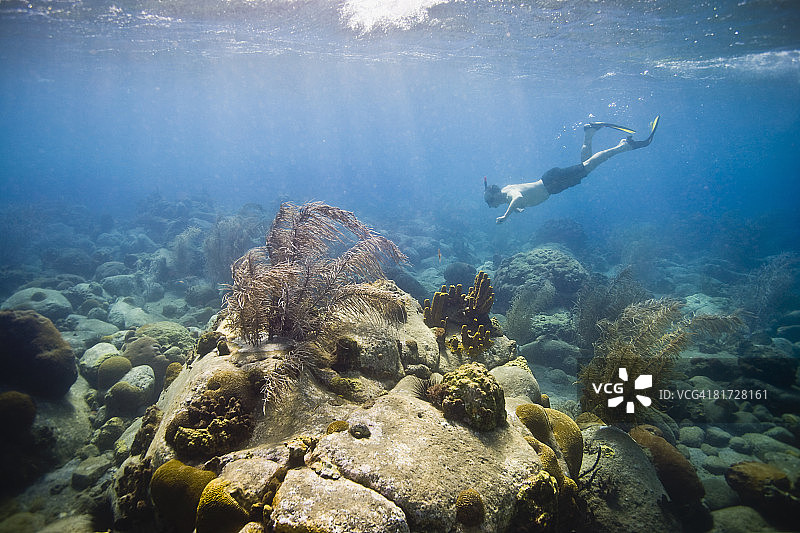 在多米尼加鲁珀特王子湾浮潜的男子图片素材