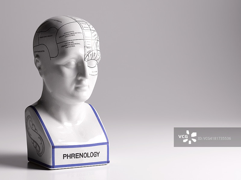 男性头部颅相学图片素材