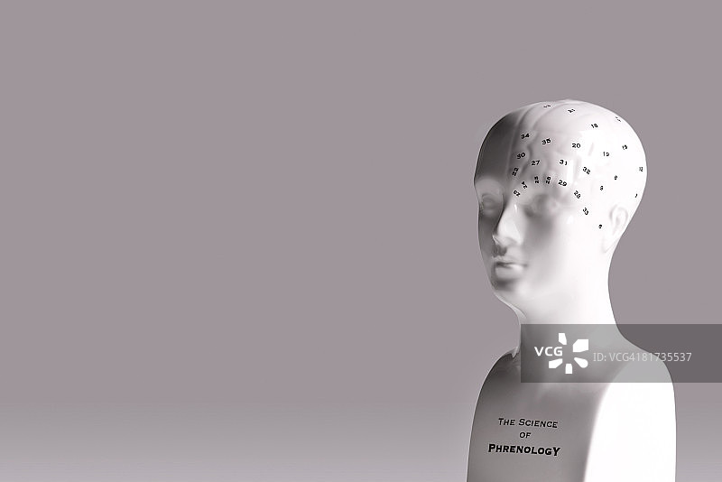 男性头部颅相学图片素材
