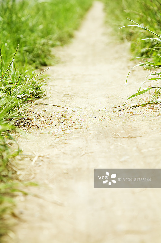 草地上的小路图片素材
