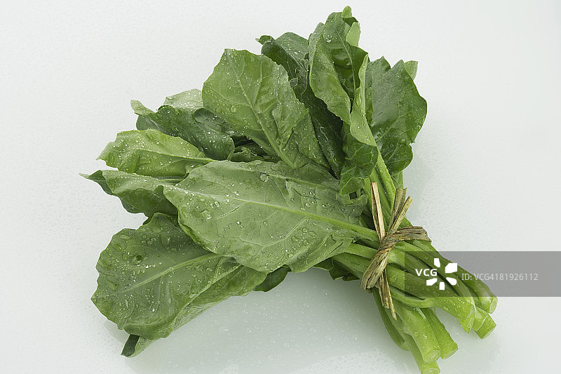 中国蔬菜：菜心图片素材