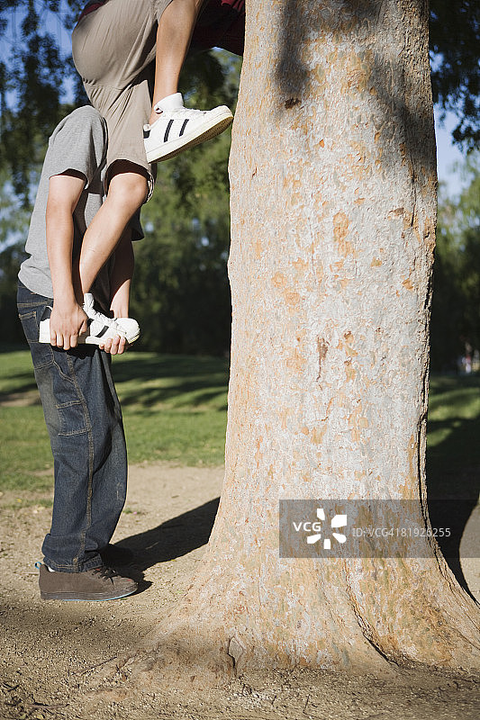 爬树的男孩们图片素材