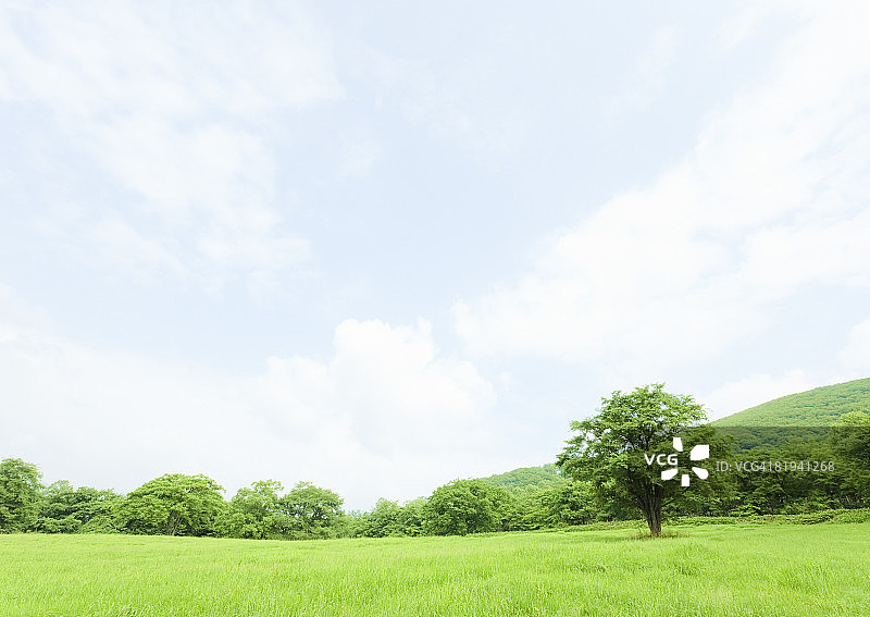 蓝天和草地图片素材