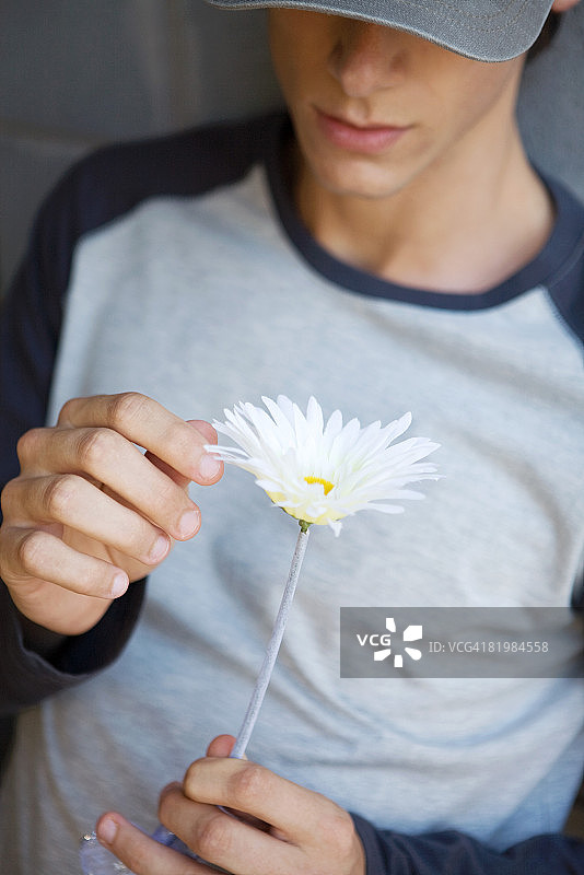 年轻男人摘花瓣，裁剪视图图片素材