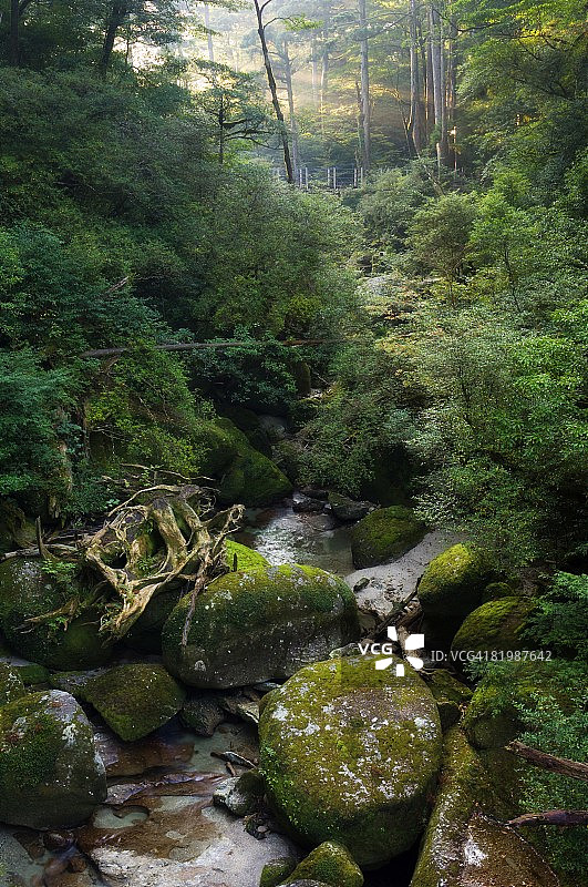 日本九州屋久岛荒川图片素材