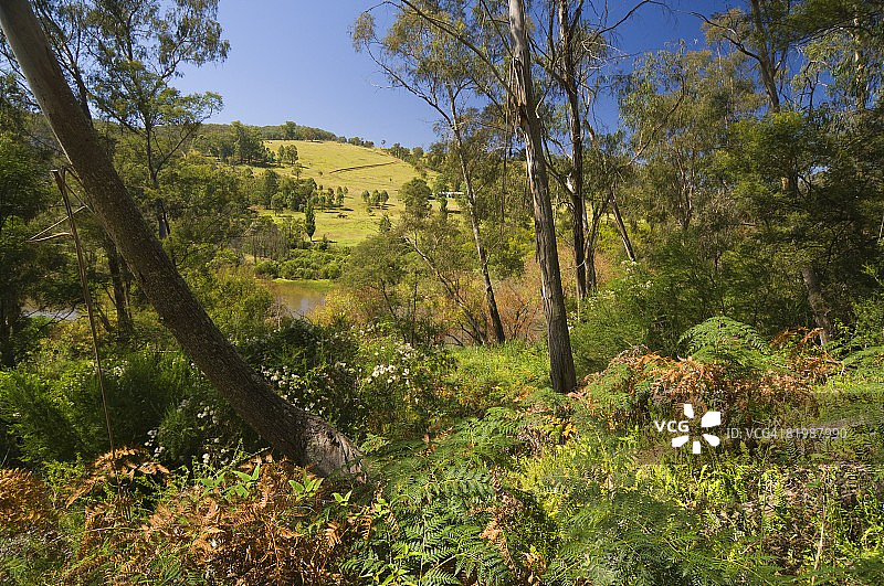 斯诺伊河国家公园，维多利亚州，澳大利亚，太平洋图片素材