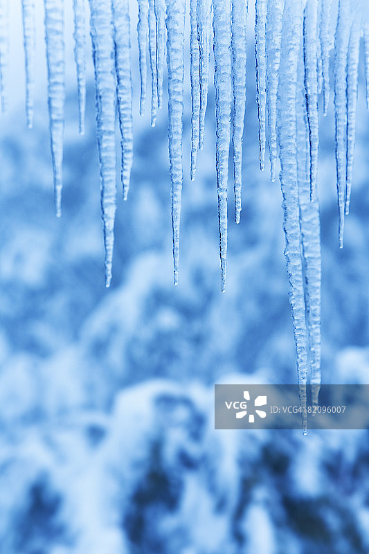 雪中的冰柱图片素材