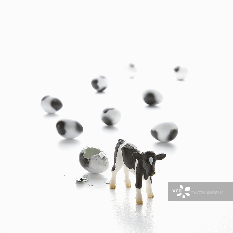 小牛和蛋图片素材