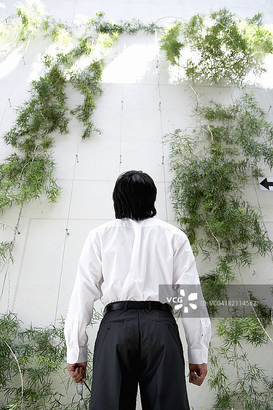 抬头看绿植墙的商人图片素材