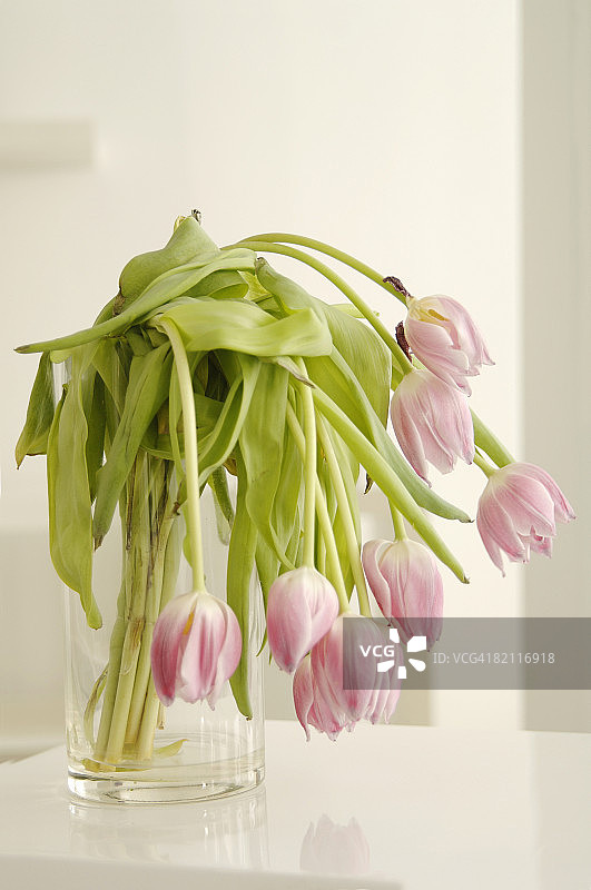 凋谢的花束图片素材