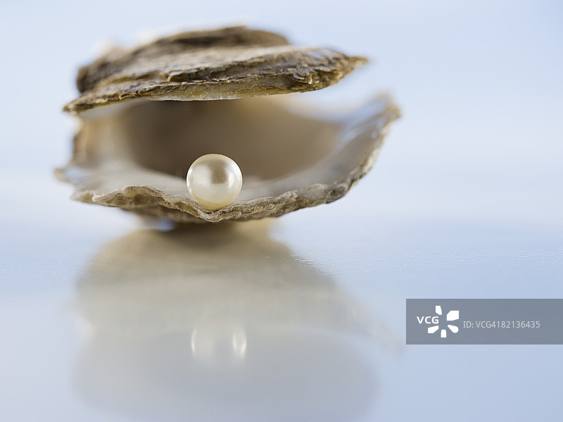牡蛎壳中珍珠的特写图片素材