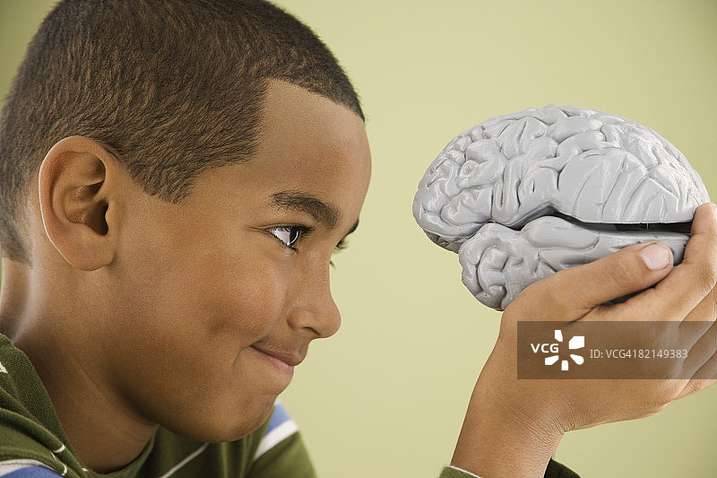 混血男孩看着大脑模型图片素材