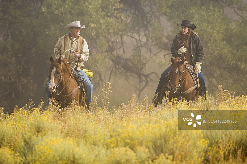 雾中骑马的牧场工人图片素材